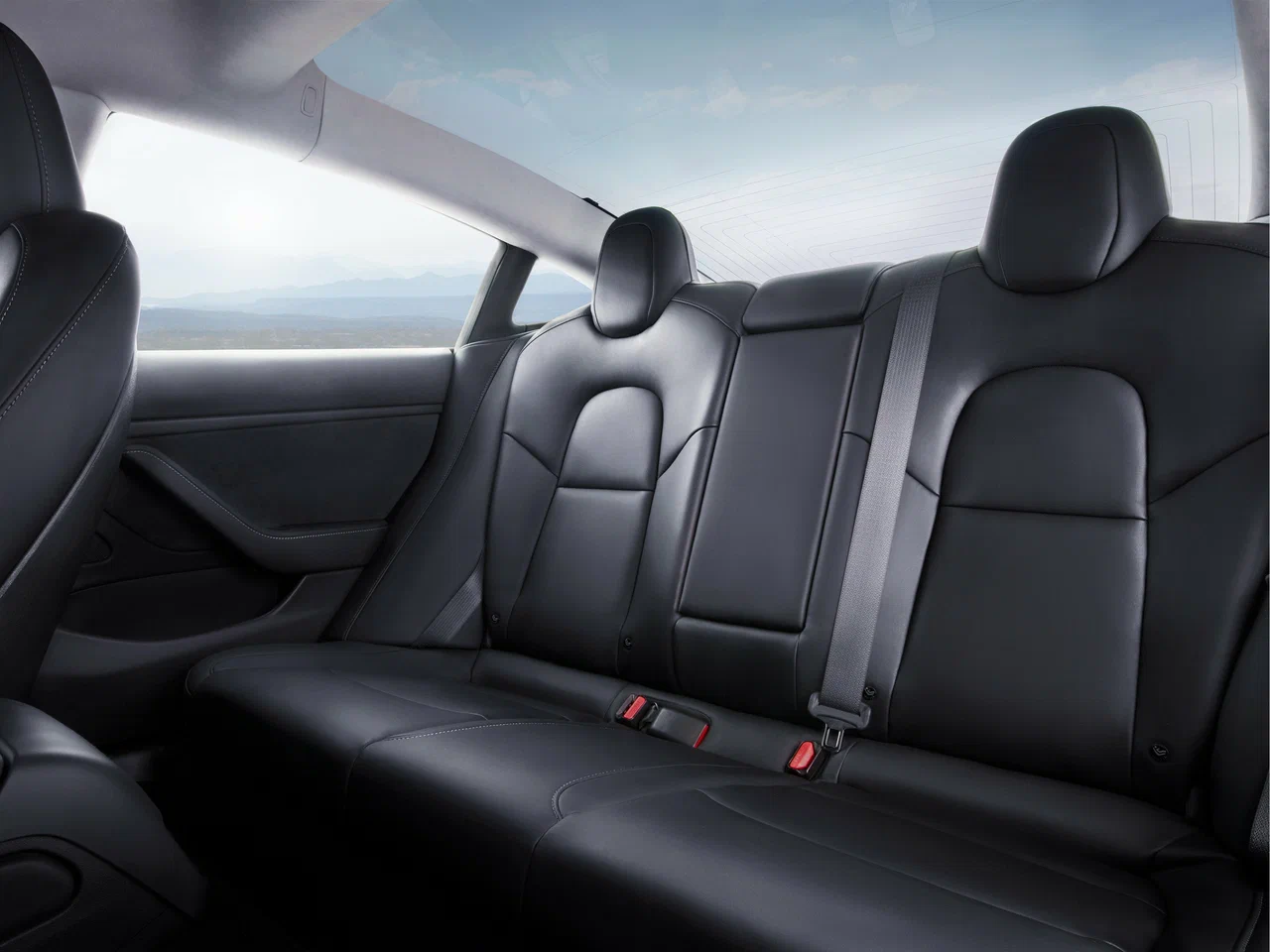 Seat Cover 1
